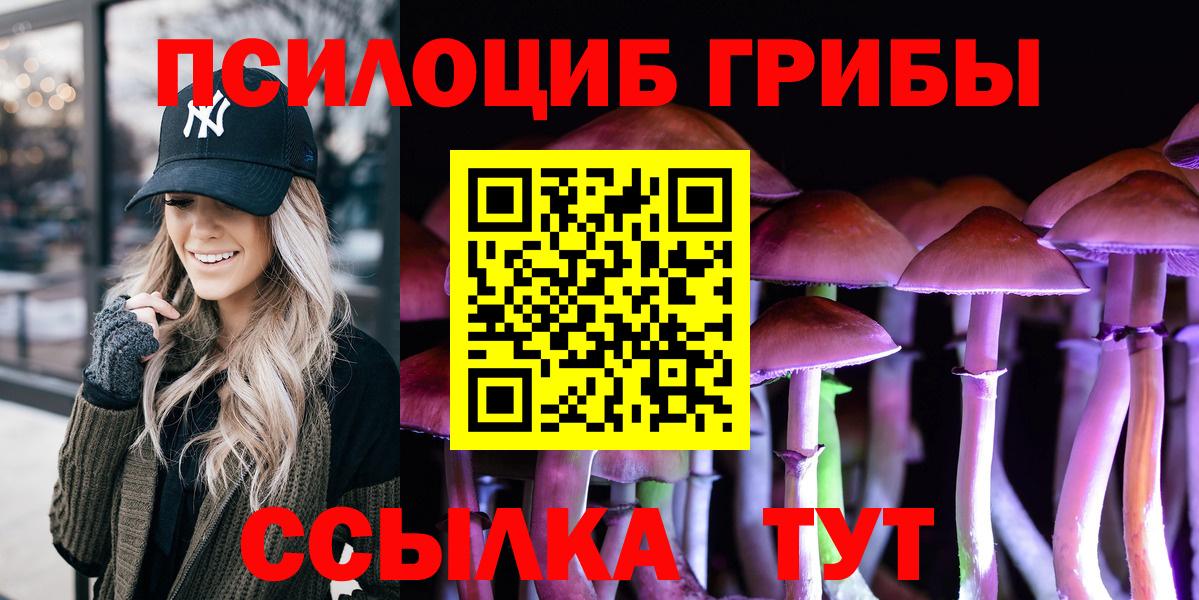 Галлюциногенные грибы Psilocybe  Вход с VPN  Кисловодск 